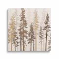 obraz-szklo-brazowy-las-iglasty-3d-przod-kwadrat.webp