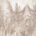 Fragment fototapety na wymiar z motywem beżowych traw pampasowych w stylu japandi