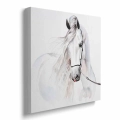 obraz-na-plotnie-dla-dzieci-piekny-bialy-kon-bok-kwadrat.webp