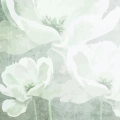 fototapeta-florystyczna-z-bialymi-kwiatami-na-teksturowym-szarozielonym-tle-fragment.webp