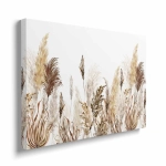 Obraz na płótnie - Akwarelowa trawa pampasowa w stylu boho II