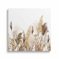 obraz-na-plotnie-akwarelowa-trawa-pampaspwa-w-stylu-boho-II-przod-kwadrat.webp