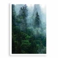 plakat-bez-ramki-przod-las-we-mgle-I.webp