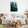 plakat-bez-ramki-wnetrze-las-we-mgle-I.webp