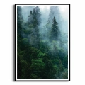 plakat-czarna-ramka-przod-las-we-mgle-I.webp