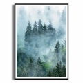 plakat-czarna-ramka-przod-las-we-mgle-II.webp