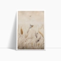 plakat-bez-ramki-bok-natura-laka-z-ptakami-typtyk-subtelna-dekoracja-do-sypialni-salonu-lub-jadalni-styl-rustykalny-boho.webp