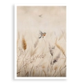 plakat-bez-ramki-przod-natura-laka-z-ptakami-I-subtelna-dekoracja-do-sypialni-salonu-lub-jadalni-styl-rustykalny-boho.webp