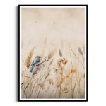 Plakat - Natura - Łąka z ptakami II - Subtelna dekoracja do sypialni, salonu lub jadalni, styl rustykalny, boho