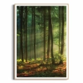 plakat-drewniana-ramka-przod-las-o-poranku-I.webp