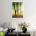 plakat-bez-ramki-wnetrze-las-o-poranku-II.webp