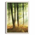 plakat-drewniana-ramka-przod-las-o-poranku-II.webp