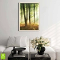plakat-drewniana-ramka-wnetrze-las-o-poranku-II.webp