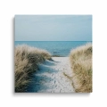 obraz-na-plotnie-malowniczy-widok-morza-sciezka-przez-wydmy-na-plazy-przod-kwadrat.webp