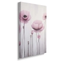 obraz-na-plotnie-rozowe-maki-kwadrat-rozowe-maki-pionowy-bok.webp