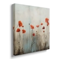 obraz-na-plotnie-czerwone-maki-kwadrat-bok.webp