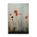 obraz-na-plotnie-czerwone-maki-pionowy-przod.webp