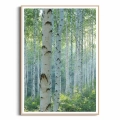 plakat-drewniana-ramka-przod-z-brzozami-I.webp
