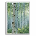 plakat-srebrna-ramka-przod-z-brzozami-I.webp
