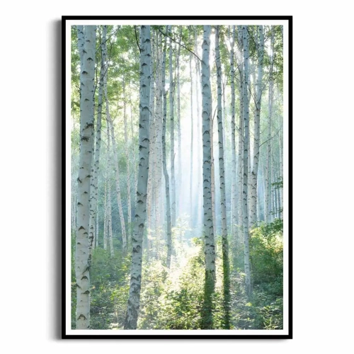 plakat-czarna-ramka-przod-z-brzozami-II.webp