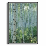 Plakat - Z brzozami III
