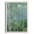 plakat-drewniana-ramka-przod-z-brzozami-III.webp