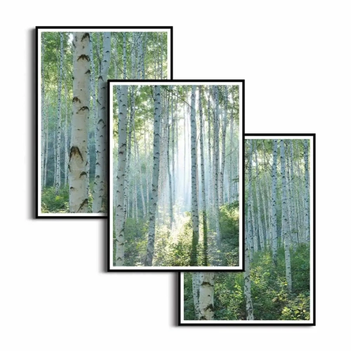zestaw-plakatow-przod-z-brzozami-tryptyk.webp