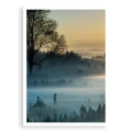plakat-bez-ramki-przod-wschod-slonca-nad-lasem-we-mgle-I.webp