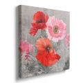 obraz-na-plotnie-kwiaty-maku-na-szarym-tle-kwadrat-bok.webp
