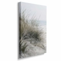 obraz-na-plotnie-wydmy-nad-morzem-z-trawami-bok-pion.webp