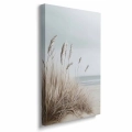 obraz-na-plotnie-plaza-z-trawami-bok-pion.webp