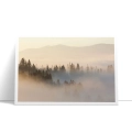 plakat-bez-ramki-bok-zamglony-las-i-gory.webp