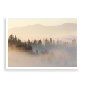 plakat-bez-ramki-przod-zamglony-las-i-gory.webp