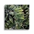 obraz-na-plotnie-tropikalne-liscie-przod-kwadrat.webp