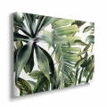 obraz-na-plotnie-tropikalne-liscie-na-bialym-tle-bok.webp