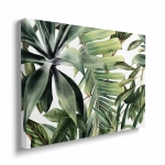 Obraz na płótnie - Tropikalne liście na białym tle 