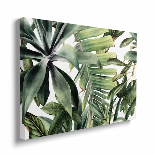 obraz-na-plotnie-tropikalne-liscie-na-bialym-tle-bok.webp