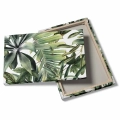 obraz-na-plotnie-tropikalne-liscie-na-bialym-tle-tyl.webp