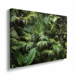 Obraz na płótnie - Gęsta dżungla, zielone liście palmy 3D do Salonu i Sypialni