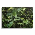 obraz-na-plotnie-gesta-dzungla-zielone-liscie-palmy-3D-przod.webp