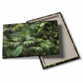 obraz-na-plotnie-gesta-dzungla-zielone-liscie-palmy-3D-tyl.webp