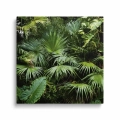 obraz-na-plotnie-gesta-dzungla-zielone-liscie-palmy-3D-przod-kwadrat.webp