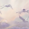 obraz-na-plotnie-lecace-labedzie-w-chmurach-fragment.webp
