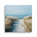 obraz-szklo-malowniczy-widok-morze-sciezka-przez-wydmy-na-plazy-kwadrat-przod.webp