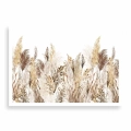 plakat-bez-ramki-przod-akwarelowa-trawa-pampasowa-w-stylu-boho.webp