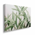 obraz-na-plotnie-duze-zielone-liscie-bok.webp