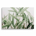 obraz-na-plotnie-duze-zielone-liscie-przod.webp