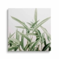 obraz-na-plotnie-duze-zielone-liscie-przod-kwadrat.webp