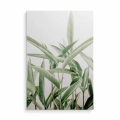 obraz-na-plotnie-duze-zielone-liscie-przod-pion.webp