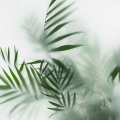 obraz-na-plotnie-liscie-palmy-we-mgle-fragment.webp